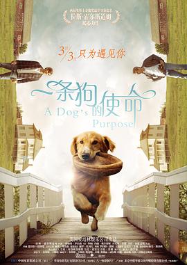 肉到失禁高h视频免费播放